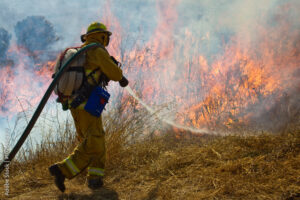 Grass & Wild Land Fire Fighting